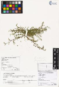 SW_BNB_s3070-02607_IMG-0000000001