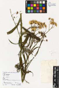 SW_BNB_s3070-02610_IMG-0000000001
