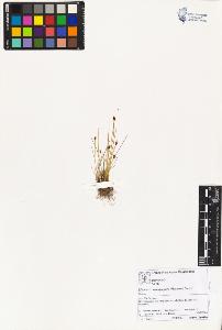 SW_BNB_s3070-02612_IMG-0000000001