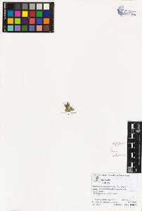 SW_BNB_s3070-02614_IMG-0000000001