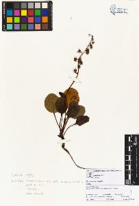 SW_BNB_s3070-02618_IMG-0000000001