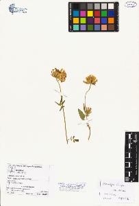 SW_BNB_s3070-02619_IMG-0000000001