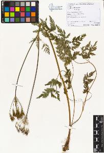 SW_BNB_s3070-02622_IMG-0000000001