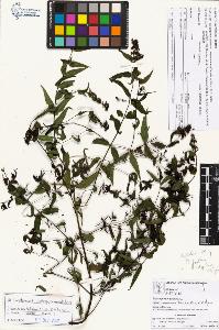 SW_BNB_s3070-02624_IMG-0000000001