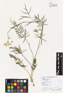 SW_BNB_s3070-02630_IMG-0000000001