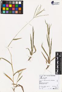 SW_BNB_s3070-02631_IMG-0000000001