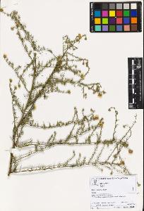 SW_BNB_s3070-02632_IMG-0000000001