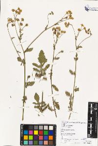 SW_BNB_s3070-02634_IMG-0000000001