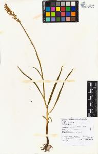 SW_BNB_s3070-02636_IMG-0000000001