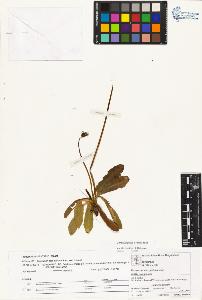 SW_BNB_s3070-02638_IMG-0000000001
