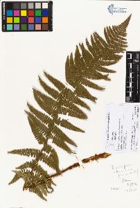 SW_BNB_s3070-02639_IMG-0000000001