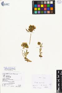 SW_BNB_s3070-02642_IMG-0000000001