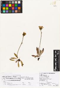 SW_BNB_s3070-02645_IMG-0000000001