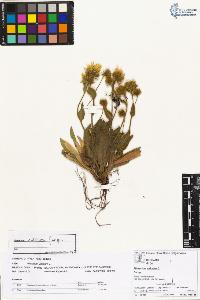 SW_BNB_s3070-02647_IMG-0000000001