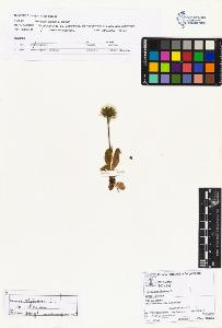 SW_BNB_s3070-02648_IMG-0000000001
