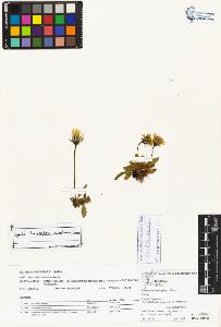 SW_BNB_s3070-02651_IMG-0000000001