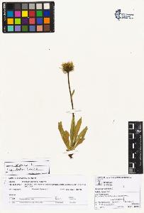 SW_BNB_s3070-02653_IMG-0000000001