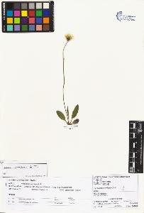 SW_BNB_s3070-02655_IMG-0000000001