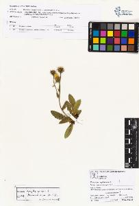 SW_BNB_s3070-02656_IMG-0000000001