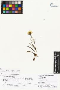 SW_BNB_s3070-02657_IMG-0000000001