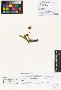 SW_BNB_s3070-02660_IMG-0000000001