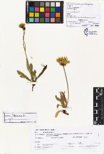 SW_BNB_s3070-02662_IMG-0000000001