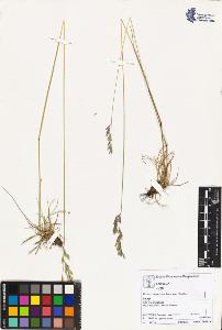 SW_BNB_s3070-02670_IMG-0000000001