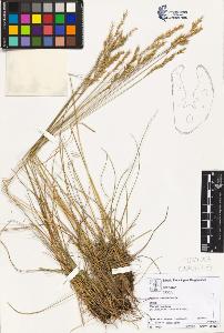 SW_BNB_s3070-02671_IMG-0000000001