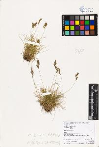 SW_BNB_s3070-02672_IMG-0000000001
