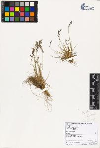 SW_BNB_s3070-02674_IMG-0000000001