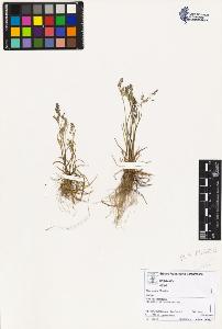 SW_BNB_s3070-02677_IMG-0000000001