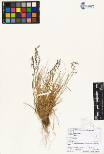 SW_BNB_s3070-02680_IMG-0000000001