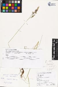 SW_BNB_s3070-02681_IMG-0000000001