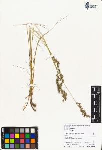 SW_BNB_s3070-02682_IMG-0000000001