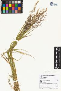 SW_BNB_s3070-02684_IMG-0000000001