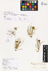 SW_BNB_s3070-02688_IMG-0000000001