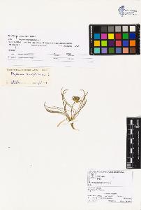 SW_BNB_s3070-02689_IMG-0000000001