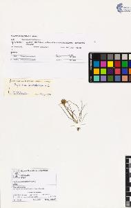 SW_BNB_s3070-02690_IMG-0000000001