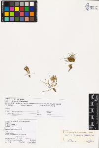 SW_BNB_s3070-02691_IMG-0000000001