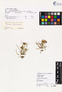 SW_BNB_s3070-02692_IMG-0000000001