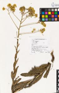 SW_BNB_s3070-02695_IMG-0000000001