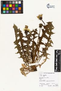 SW_BNB_s3070-02701_IMG-0000000001