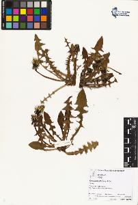 SW_BNB_s3070-02702_IMG-0000000001