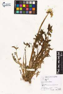 SW_BNB_s3070-02703_IMG-0000000001