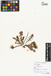SW_BNB_s3070-02704_IMG-0000000001