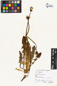 SW_BNB_s3070-02705_IMG-0000000001