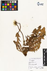 SW_BNB_s3070-02706_IMG-0000000001
