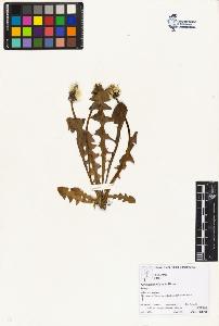SW_BNB_s3070-02707_IMG-0000000001