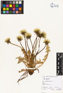 SW_BNB_s3070-02708_IMG-0000000001