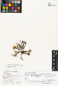 SW_BNB_s3070-02709_IMG-0000000001